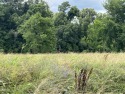 French Broad River lot for sale! Come see this beautiful view for sale in Sevierville Tennessee Knox County County on GolfHomes.com