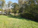 Come and take a look at this fantastic LAKE VIEW lot! .60 acres for sale in Lake Carroll Illinois Carroll County County on GolfHomes.com
