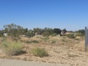Great opportunity to purchase this lot located in the heart of for sale in Llano California Los Angeles County County on GolfHomes.com