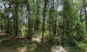 Discover the perfect opportunity to build your dream home on for sale in Citrus Springs Florida Citrus County County on GolfHomes.com