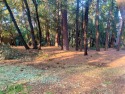 Nice .20 acre Mountain lot in Gated Community Of Forest Meadows for sale in Murphys California Calaveras County County on GolfHomes.com