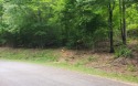 Very nice lot in a great subdivision adjoining Mountain Harbour for sale in Hayesville North Carolina Clay County County on GolfHomes.com