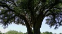  Ad# 6442835 golf course property for sale on GolfHomes.com