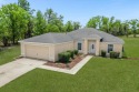 Seller Motivated! This 4 bedroom, 2 bathroom home is move-in for sale in Ocala Florida Marion County County on GolfHomes.com