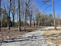 NEW SUBDIVISION IN MELBOURNE!! Beautiful lot to build your dream for sale in Melbourne Arkansas Izard County County on GolfHomes.com
