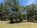 BUILD YOUR DREAM HOME on this beautiful 1.25 acres of for sale in Starke Florida Bradford County County on GolfHomes.com