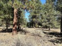  Ad# 6512554 golf course property for sale on GolfHomes.com