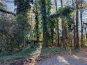 Here's your chance to grab a great lot in one of Atlanta's for sale in Atlanta Georgia Fulton County County on GolfHomes.com