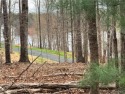 Waterview lot in Shenandoah Crossings County Club.  There is for sale in Louisa Virginia Louisa County County on GolfHomes.com