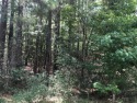 Beautiful wooded lot in the desirable Rayburn Country.  Nice for sale in Brookeland Texas Jasper County County on GolfHomes.com