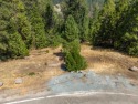 $11k REDUCTION!! Nestled within a serene, wooded landscape for sale in Pioneer California Amador County County on GolfHomes.com