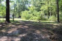 These lots offer an already cleared place to have your for sale in Hemphill Texas Sabine County County on GolfHomes.com