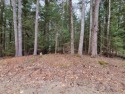 Vacant building lot in Balmoral Association on the shores of for sale in Moultonborough New Hampshire Carroll County County on GolfHomes.com
