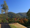 Looking for a gorgeous year-round panoramic mountain view for for sale in Asheville North Carolina Buncombe County County on GolfHomes.com