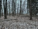 68 acre lot.  Natural gas, public sewer, electric, and cable is for sale in Marshall Michigan Calhoun County County on GolfHomes.com
