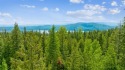 Remarks: Come take a look at this beautifully treed .66 acre lot for sale in Whitefish Montana Flathead County County on GolfHomes.com