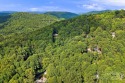 Below Tax Value! Build your dream home on this exceptional 1 for sale in Mills River North Carolina Henderson County County on GolfHomes.com