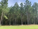 Privacy, Security, and Stunning views await.

Welcome to for sale in Jasper Tennessee Marion County County on GolfHomes.com