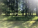Wonderful golf course frontage lot overlooking the 4th green and for sale in Hertford North Carolina Perquimans County County on GolfHomes.com