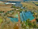 Ever wanted your own private Oasis? This is it! 13.07 m/L level for sale in Lead Hill Arkansas Boone County County on GolfHomes.com