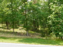 Extra Large Harbor Club Interior Lot! for sale in Greensboro Georgia Greene County County on GolfHomes.com
