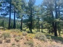  Ad# 6479770 golf course property for sale on GolfHomes.com
