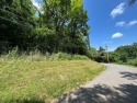 THIS 1.02 ACRES CAN BE DIVIDED INTO MULTIPLE LOTS FOR for sale in Newport Tennessee Cocke County County on GolfHomes.com