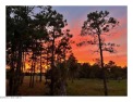  Ad# 6269653 golf course property for sale on GolfHomes.com