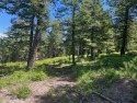 This beautiful property is at the end of a cul-de-sac. The land for sale in Edwards Colorado Eagle County County on GolfHomes.com