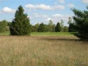 Lot 43 is a large lot, which fronts across the road of the for sale in Canadian Lakes Michigan Mecosta County County on GolfHomes.com