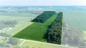 Super versatile acreage! Currently leased 16 acres of tillable for sale in Hanover Indiana Jefferson County County on GolfHomes.com