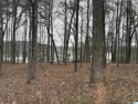 Beautiful property to build your feature home in Point Aquarius! for sale in Alpine Alabama Talladega County County on GolfHomes.com