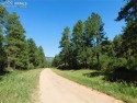 1-Acre LOT in the Colorado Rocky Mountain Forest has a soaring for sale in Larkspur Colorado Douglas County County on GolfHomes.com