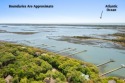 Beautiful water and marsh views! Build your dream home in the for sale in Johns Island South Carolina Charleston County County on GolfHomes.com