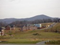 Beautiful lot in The Orchards of Ashley Plantation. Panoramic for sale in Daleville Virginia Botetourt County County on GolfHomes.com