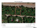 Amazing opportunity to build your dream home in desirable Holly for sale in Holly Lake Ranch Texas Wood County County on GolfHomes.com