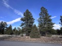  Ad# 5898016 golf course property for sale on GolfHomes.com