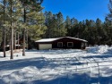 Cozy revovated cabin in a convenient location between Monte for sale in Angel Fire New Mexico Colfax County County on GolfHomes.com