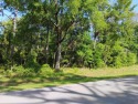 Come see this beautiful lot in the Williston Highlands Golf and for sale in Williston Florida Levy County County on GolfHomes.com
