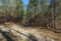 Opportunity Knocks! 23+ Acres of Piney Woods with over 460 feet for sale in Graniteville South Carolina Aiken County County on GolfHomes.com