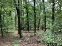 Stunningly beautiful, heavily-wooded lots being sold together for sale in Holly Lake Ranch Texas Wood County County on GolfHomes.com