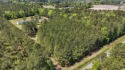 Lot 2 - 4630 Highway 554, Loris, SC | 1.00 Acres | No HOA | for sale in Loris South Carolina Horry County County on GolfHomes.com