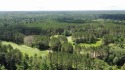 Huge Timber Ridge lot privately set back from 18th Fairway for sale in  Wisconsin Oneida County County on GolfHomes.com