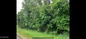 Wanting to live close to the Lake and build the home of your for sale in Loudon Tennessee Loudon County County on GolfHomes.com