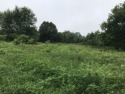 Build your dream home on this partially-cleared wooded lot in for sale in Saugatuck Michigan Allegan County County on GolfHomes.com