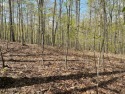 Bring your builder and build your dream home on this quiet for sale in Sparta Tennessee DeKalb County County on GolfHomes.com
