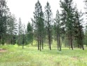Remarks: Level and nicely wooded, beautiful building tract in for sale in Seeley Lake Montana Missoula County County on GolfHomes.com