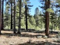 Situated in a gated subdivision, this lovely lot overlooks the for sale in Portola California Plumas County County on GolfHomes.com