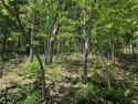 This excellent lot has minimal sloping in the back, most of the for sale in Bella Vista Arkansas Benton County County on GolfHomes.com