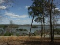 Spectacular long vistas of Badin Lake and the National Forest for sale in New London North Carolina Montgomery County County on GolfHomes.com